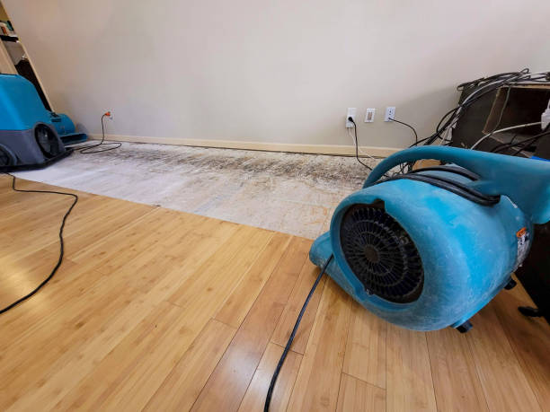 Professional Basement Flood Cleanup technician working in Rio Grande, OH